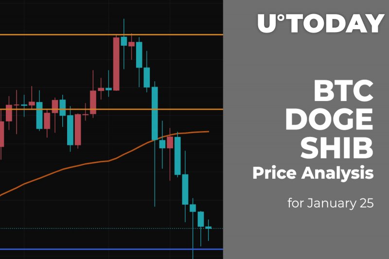 BTC, DOGE and SHIB Price Analysis for January 25