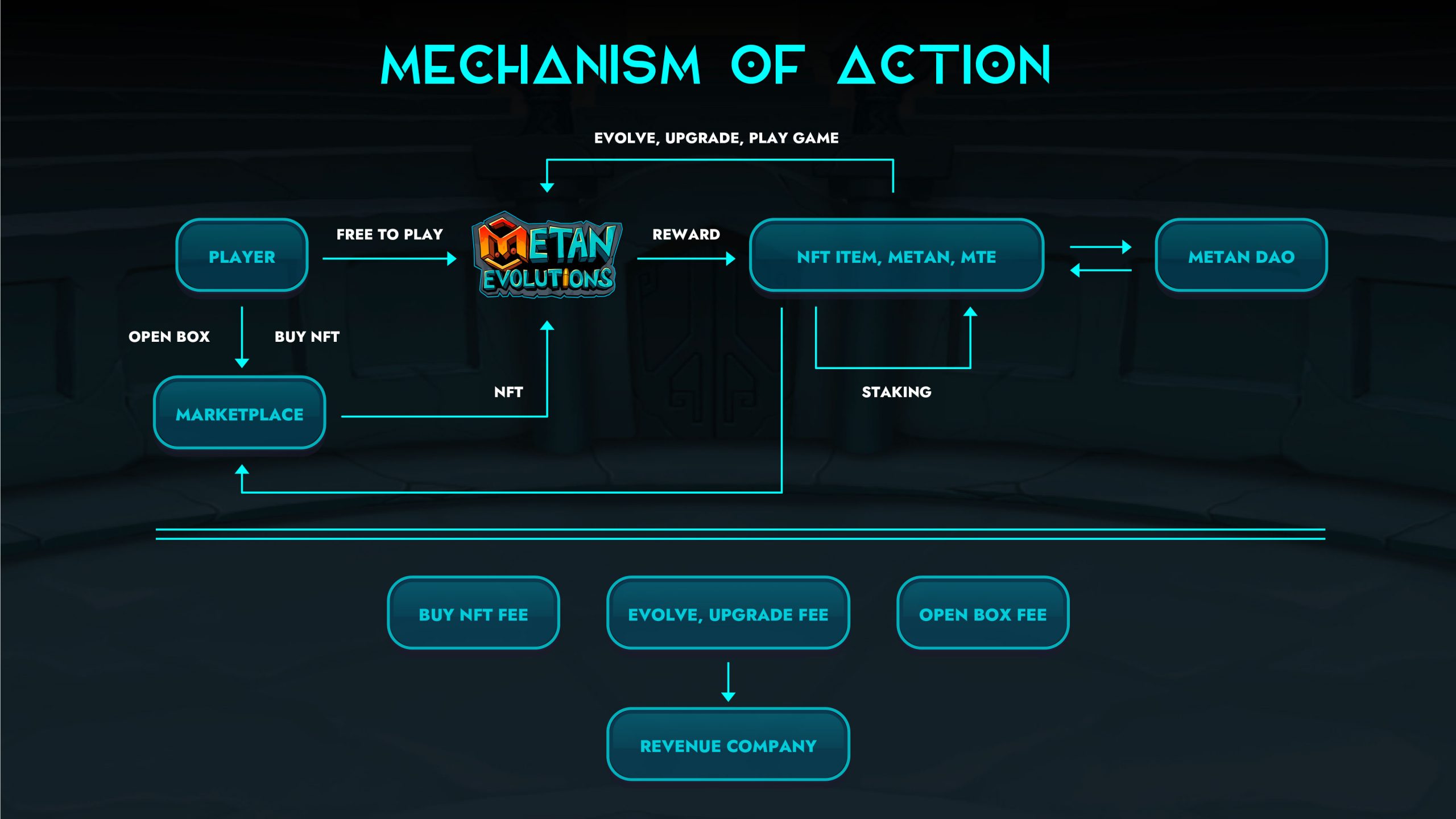 Mechanism of action scaled