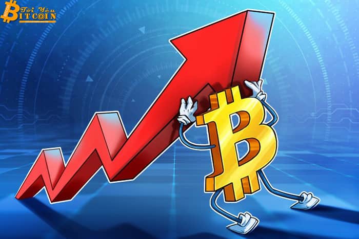Bitcoin loses momentum