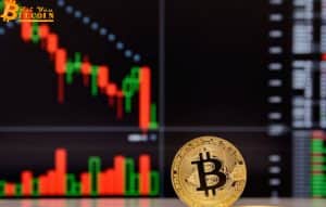 Bitcoin value plunges to almost $30,000