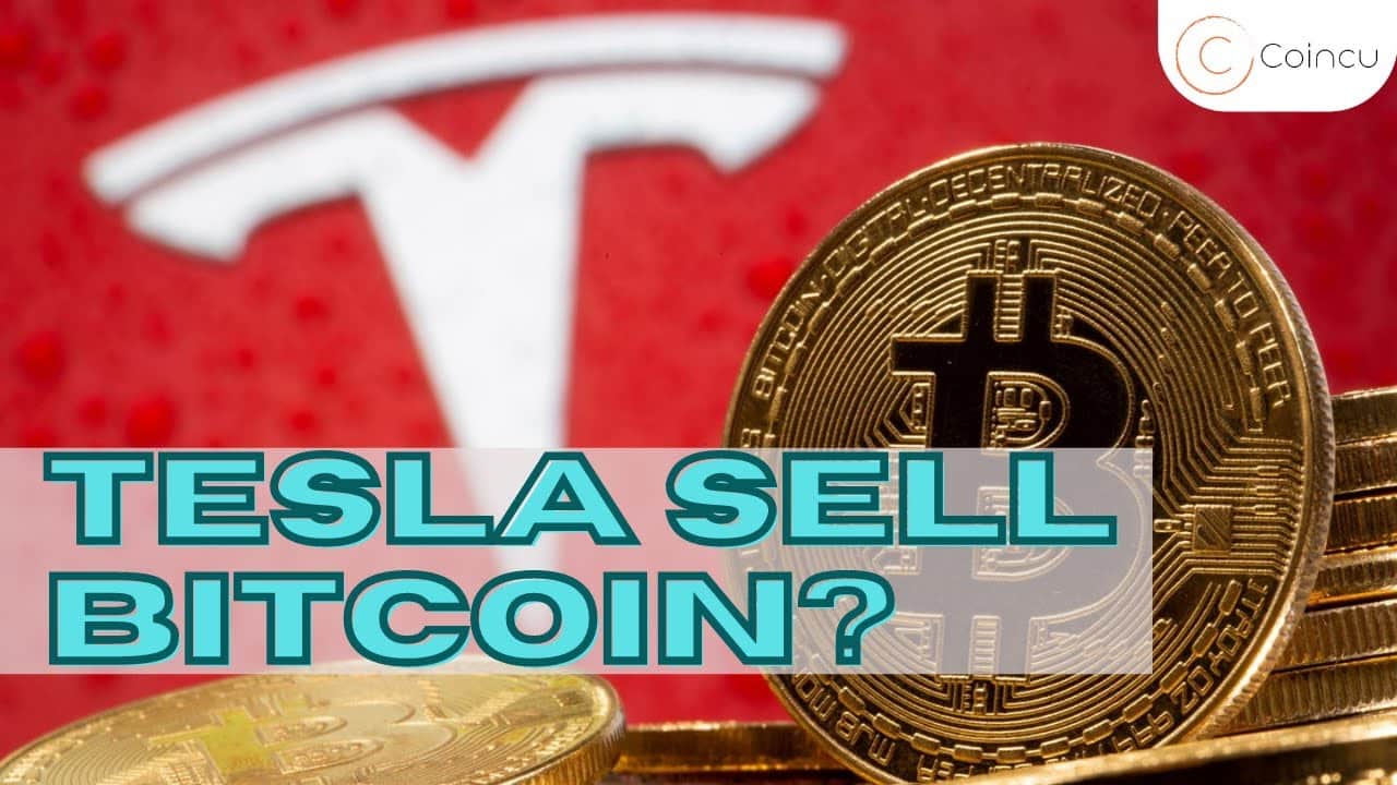 Tesla’s China Honeymoon is Over and will Tesla promote Bitcoin? Cryptocurrency guidebook – Coincu News