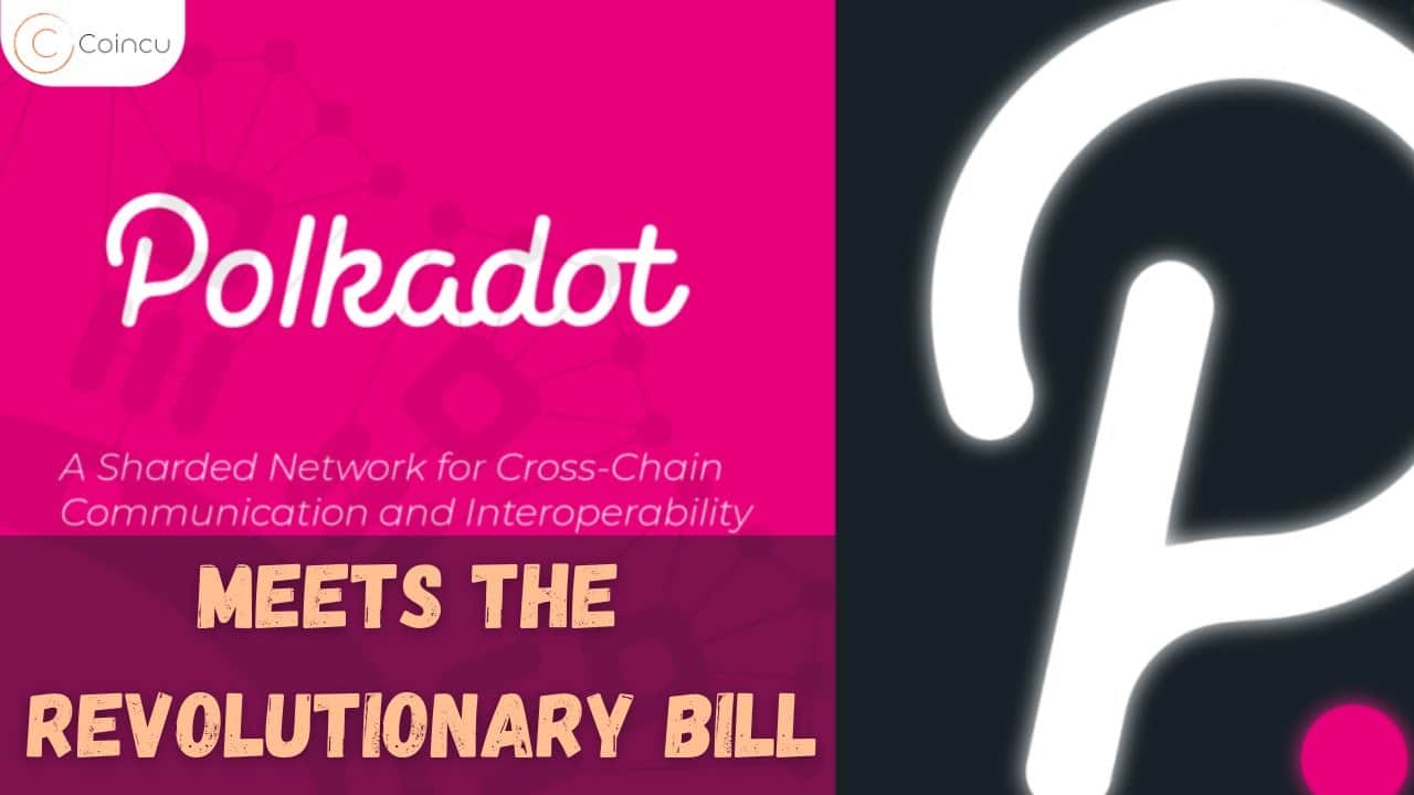 Parity says polkadot is the only protocol that fits the revolutionary bill