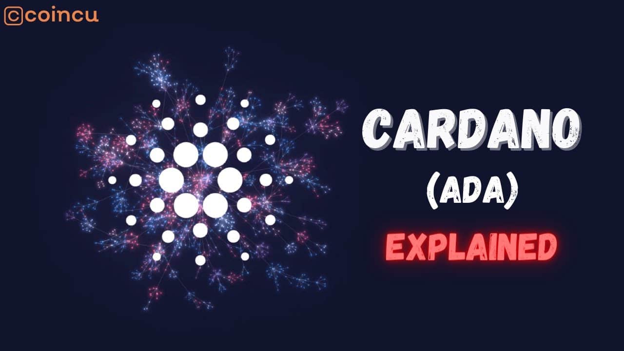 Cardano (ADA) explained | What is ADA? | Video Guide