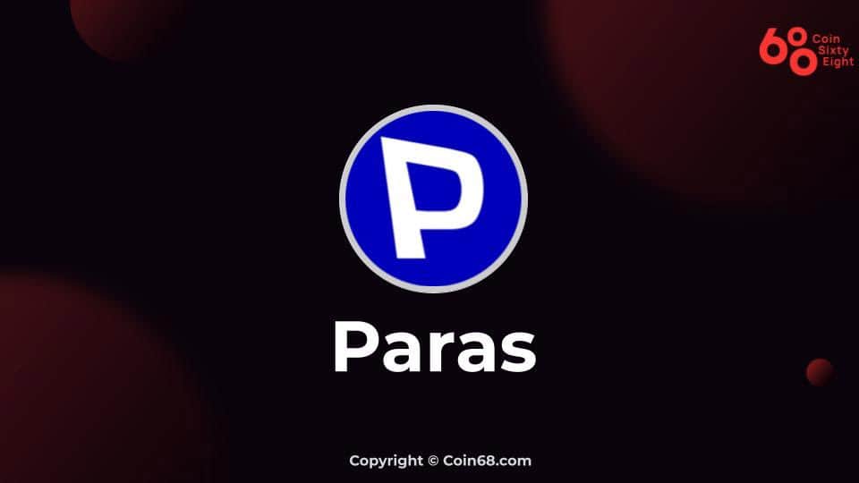 Review of the Paras undertaking (PARAS coin)