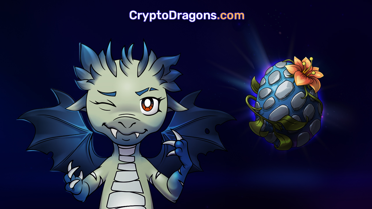 NFT Dragon Metaverse? Interview with the head of improvement of CryptoDragons