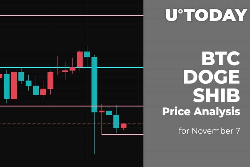 BTC, DOGE and SHIB Price Analysis for Nov seven
