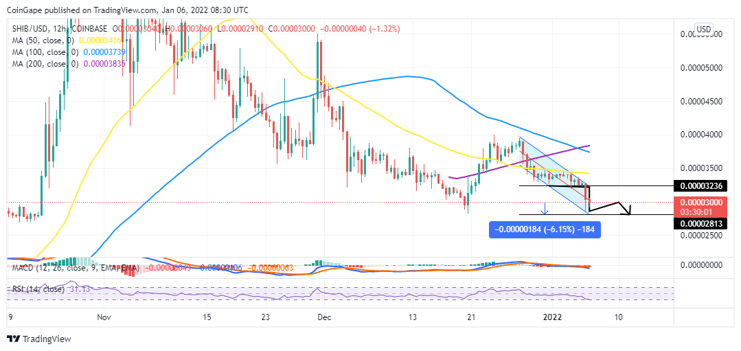 SHIB could drop one more six% to $.00002813