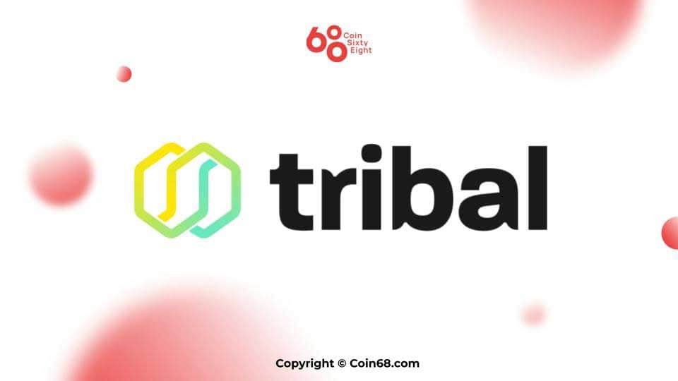 Tribal Project Review (TRBL Coin)