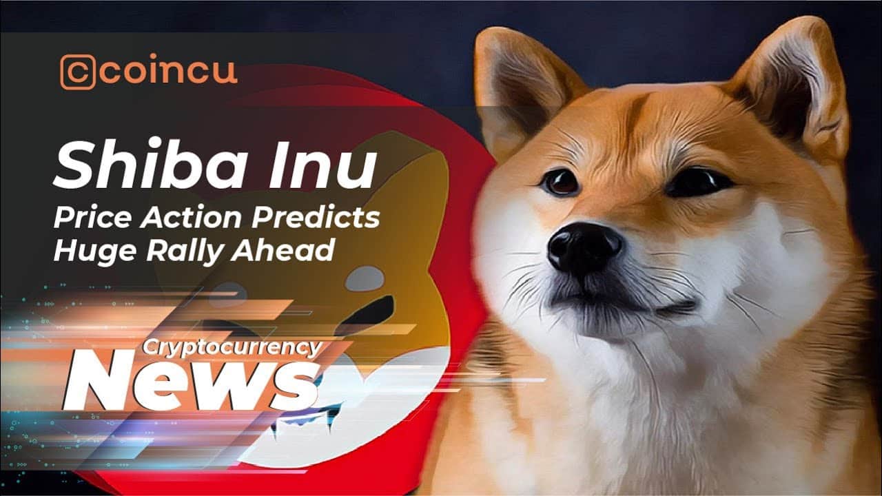 Shiba Inu Price Action Huge Rally Ahead | News April 24 2022 | Crypto News