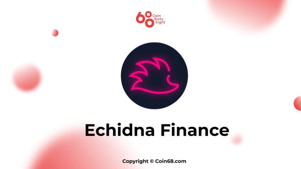 Echidna Finance Project Overview (ECD Coin)