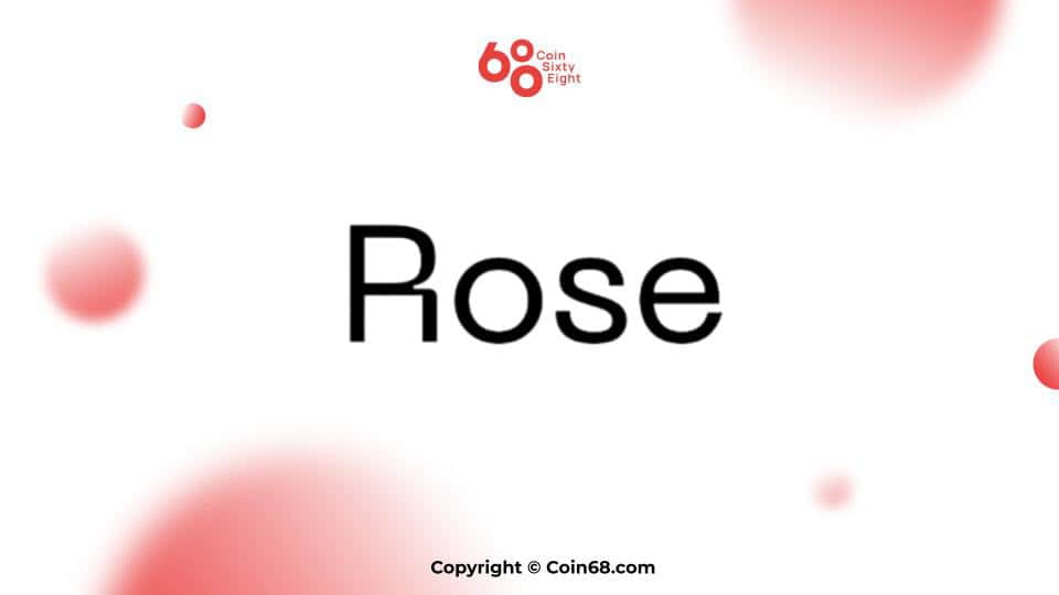 RoseFi undertaking overview (ROSE coin)