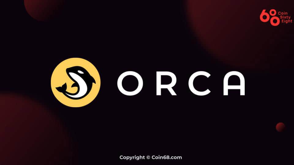Orca task overview (ORCA coin)