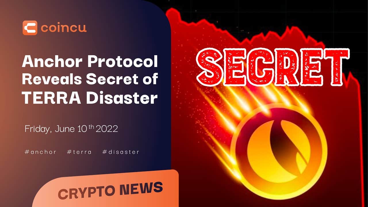 Anchor Protocol reveals secret of Terra catastrophe | Latest News ten June 2022 | Crypto News