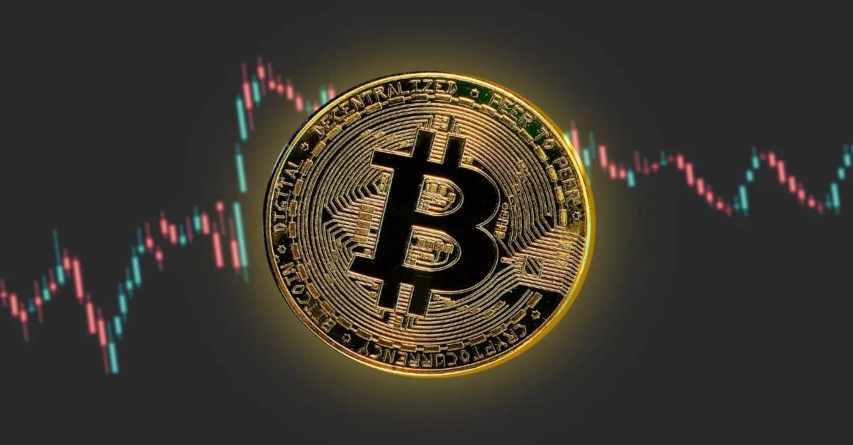 Pantera Capital CEO Says Bitcoin (BTC) Price Likely To Rise In Coming Months