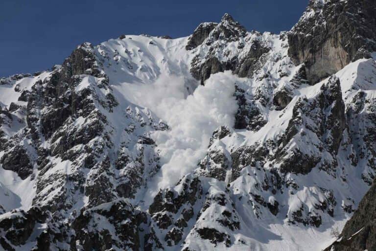 Coin Department: “Surprised to see” avalanche ($AVAX) “withstanding so well”