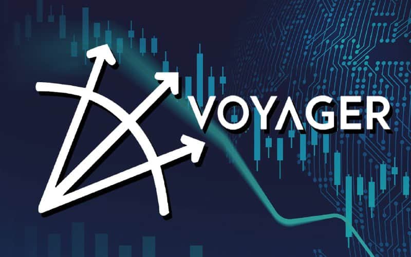 Binance and FTX Lead Voyager Auction
