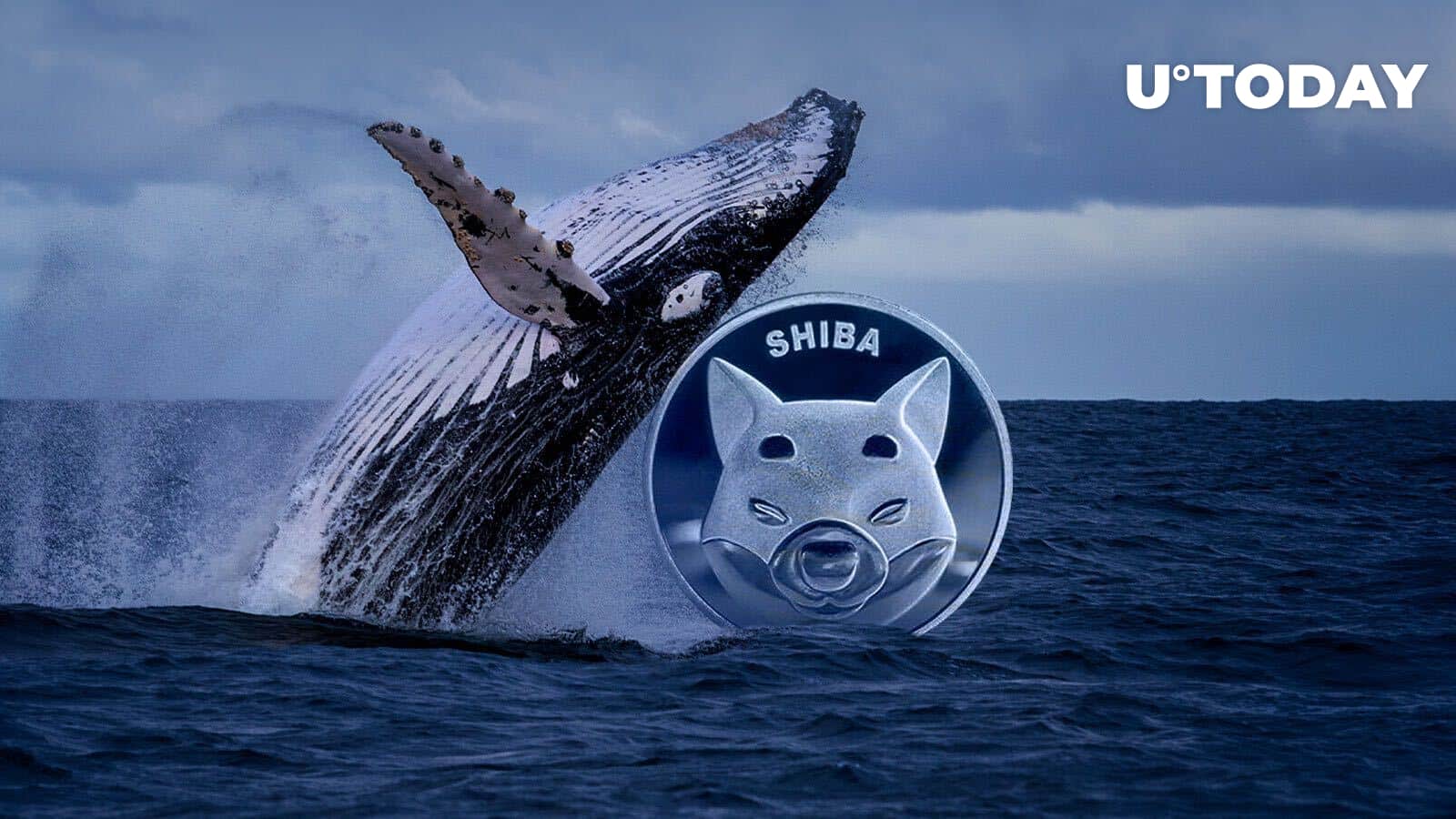 This whale buys $22.two million well worth of SHIB in a week: Details