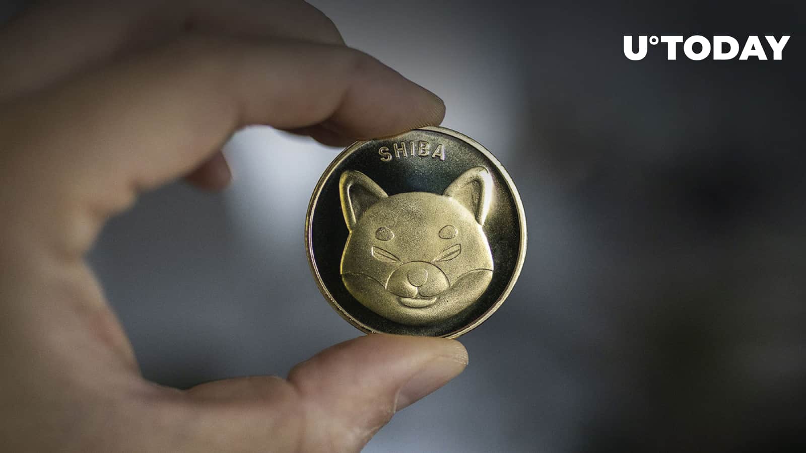 Almost two trillion SHIB was moved as the selling price of the token improved by ten% inside of 24 hrs