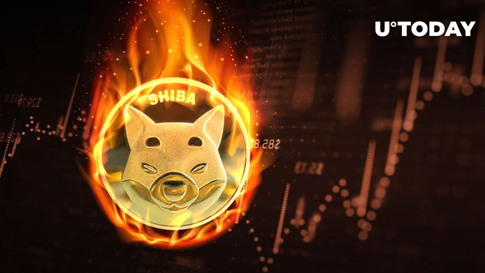 Shib burn up fee soars 153% as cost exhibits modest gains