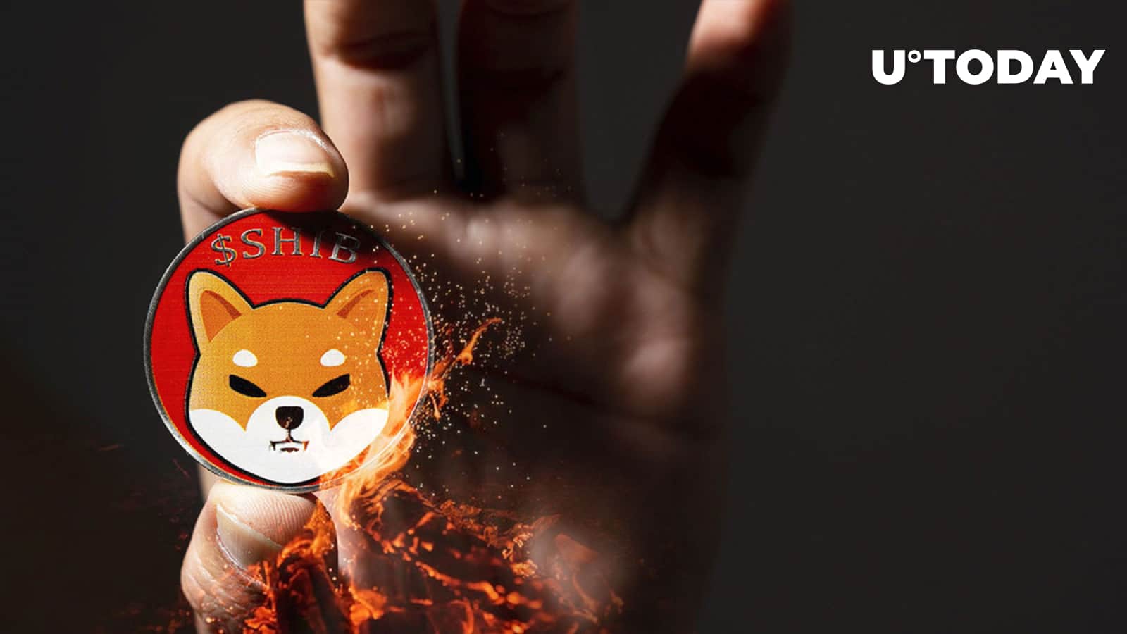 Shiba Inu (SHIB) Extremely Different Burning Since December: Details