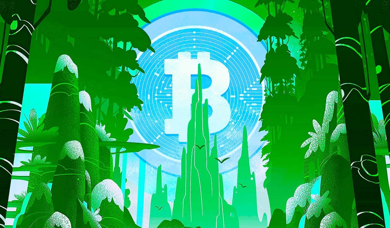 Crypto Analyst Says Bitcoin Bear Market ‘Gets Closer’ to End, Breaking Cardano and Two Other Altcoins