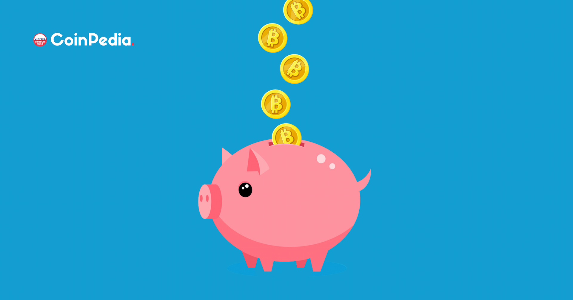 Is this the proper time to gather Bitcoins? This is what the on-chain information says