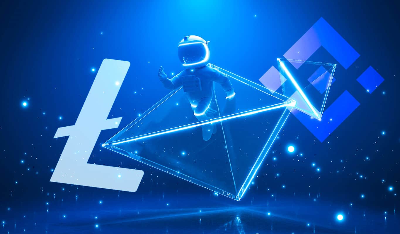 Litecoin (LTC) and Binance Coin (BNB) are crypto assets that will constantly be in the spotlight when whale exercise peaks: Santiment