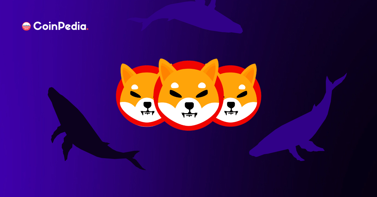 Is Shiba Inu Whales Not Interested In SHIB Tokens any longer?