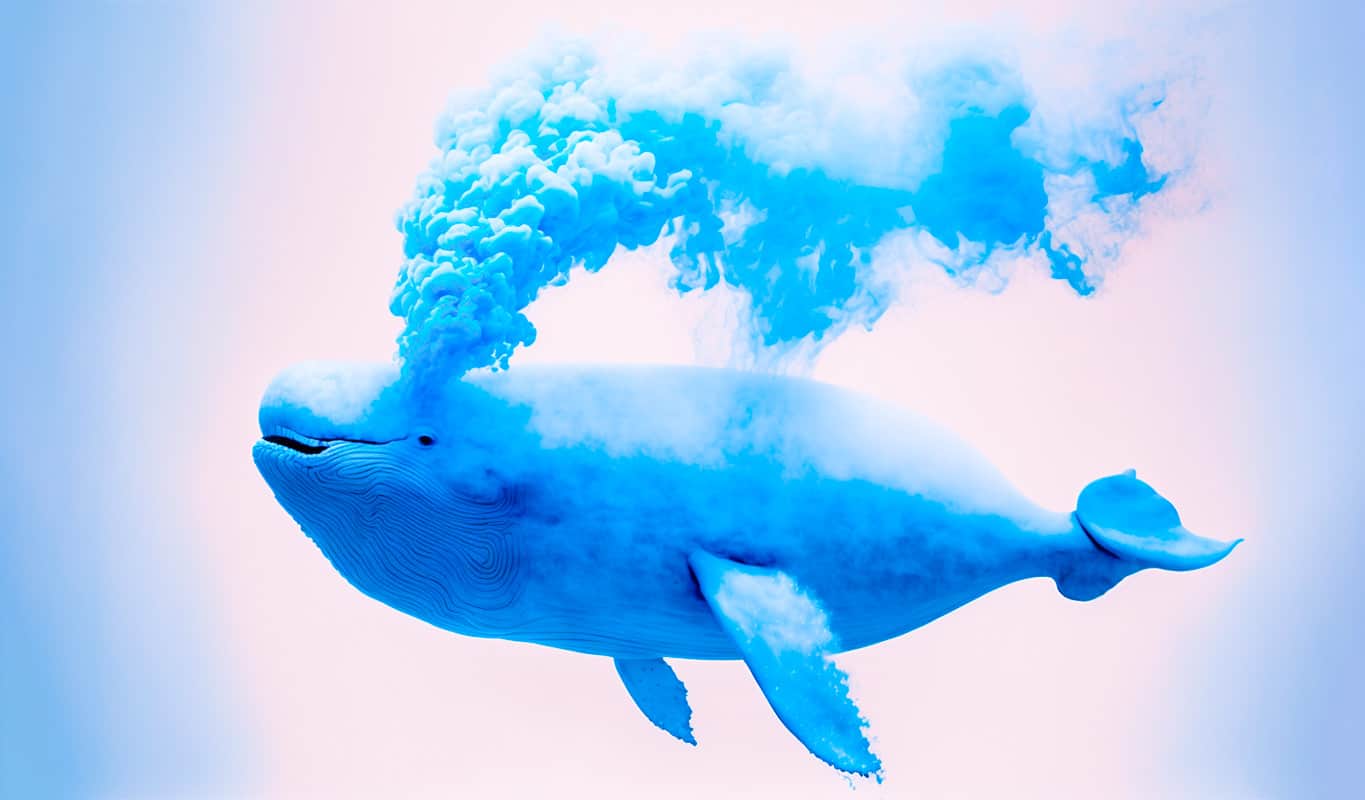 Crypto Whales Move Over $317,000,000 in Bitcoin, Ethereum, XRP, and Polygon – Here’s What It’s Going To Be