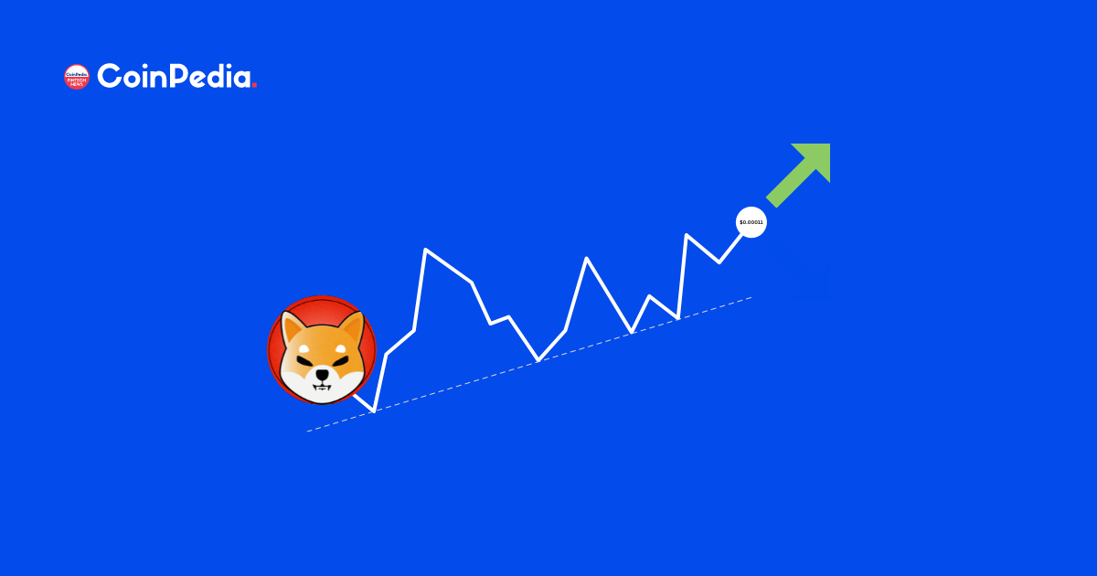 Why could the value of Shiba Inu (SHIB) boost ten occasions by 2023?