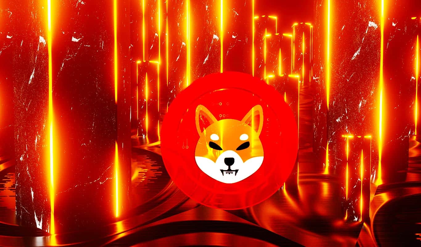 250,000,000,000 Shiba Inu (SHIB) Suddenly Transferred To Coinbase Due To Crypto Lending Company Bankruptcy