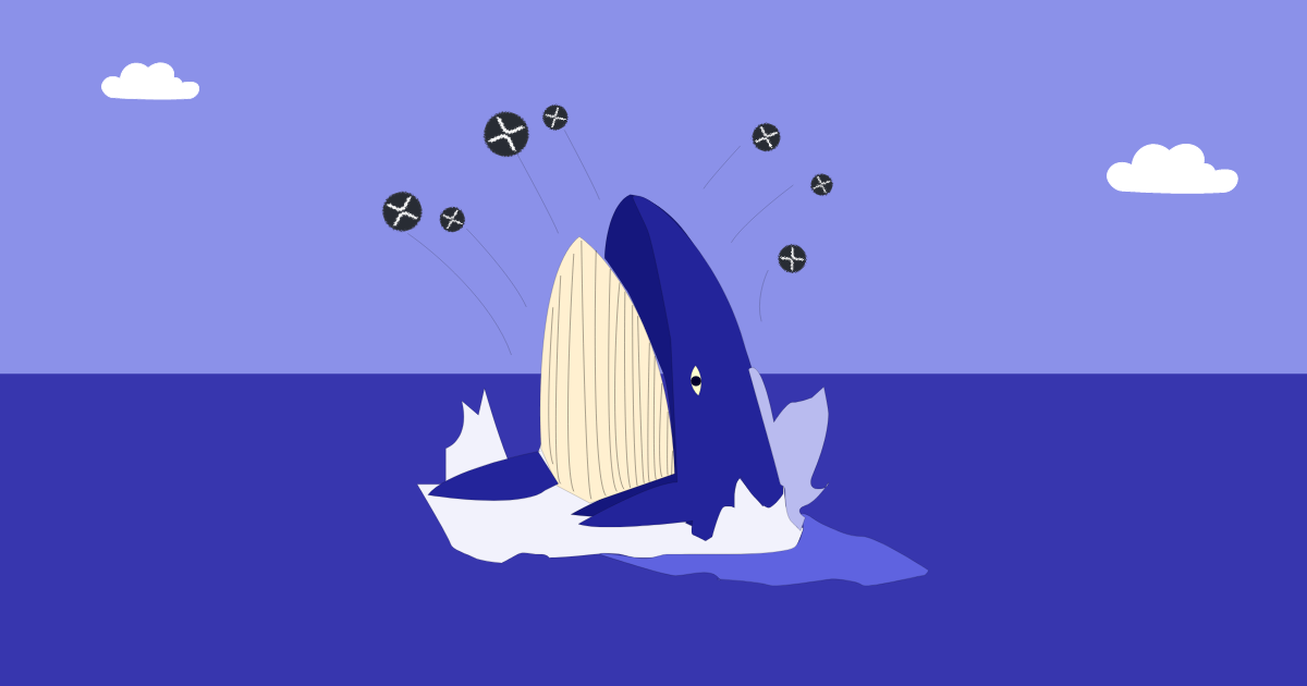 These are the most important motives why whales rank XRP