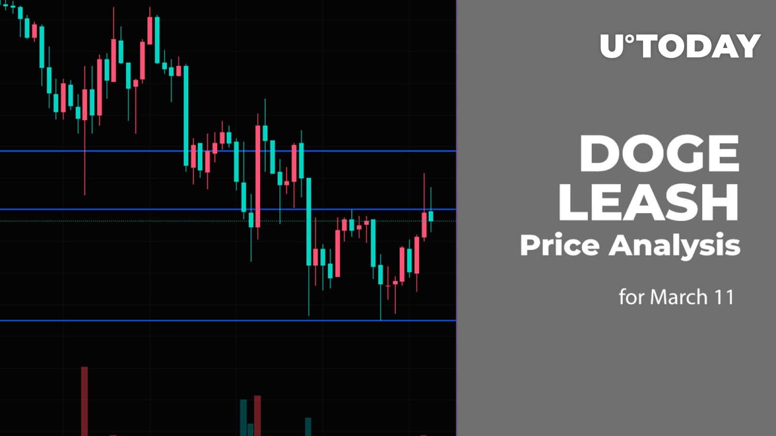 DOGE and LEASH Price Analysis for March eleven