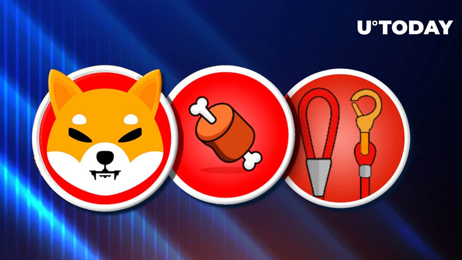 Shiba Inu (SHIB), BONE, LEASH costs recover as neighborhood fights FUD