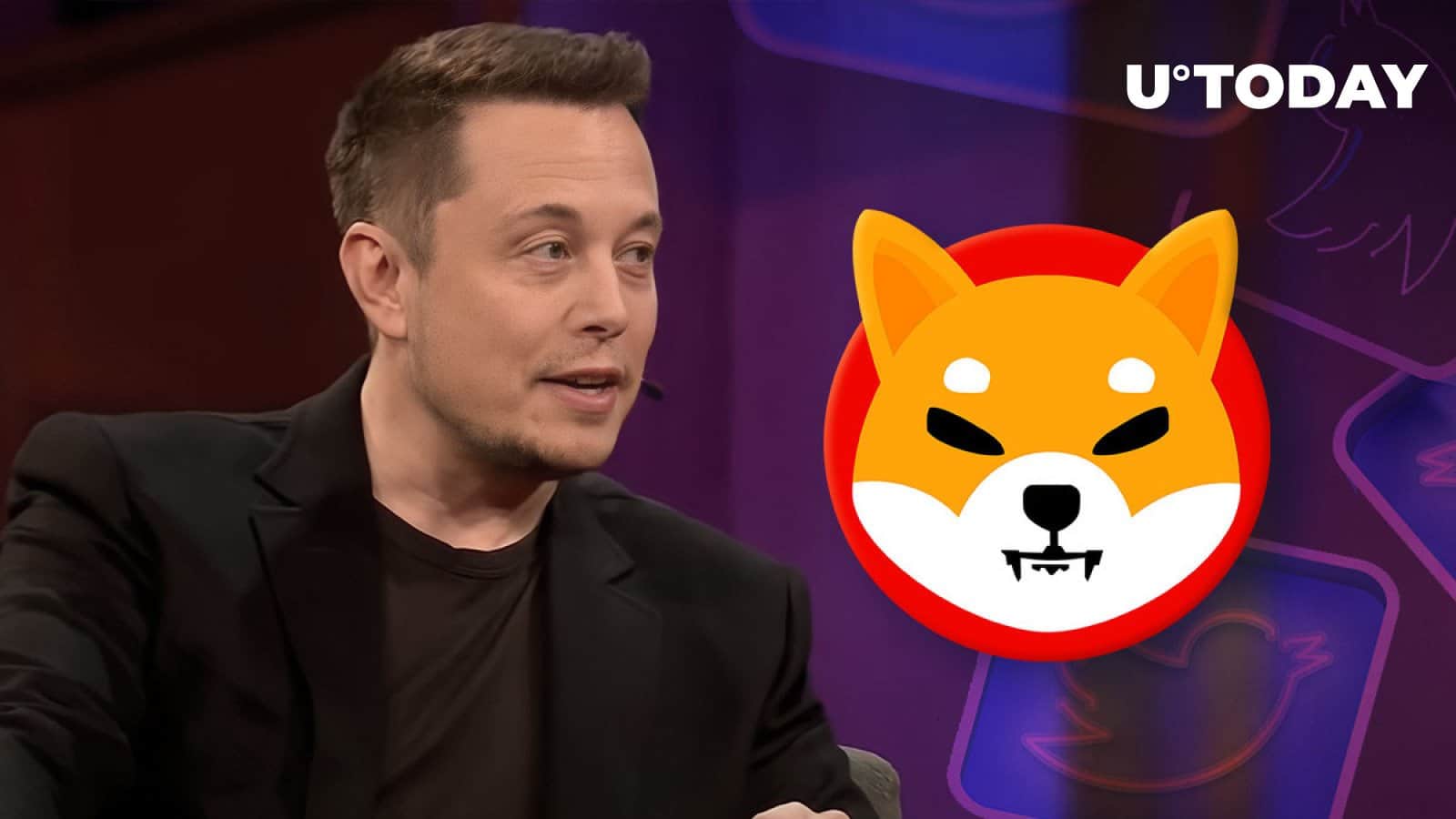Elon Musk’s Tweet Meme Caused This Shiba Inu Lead’s Reaction