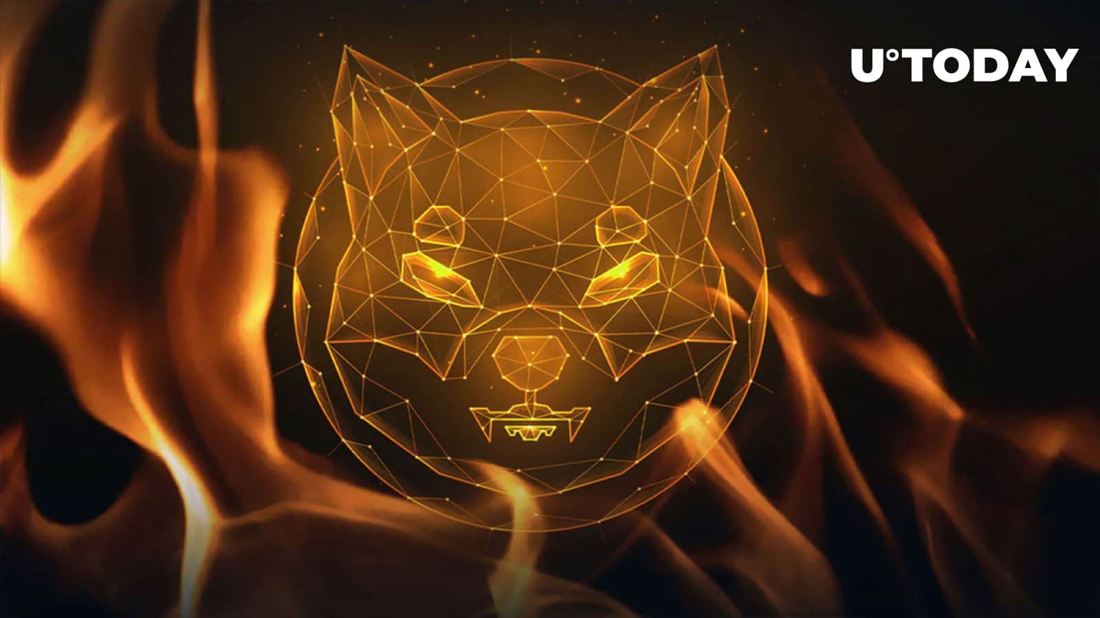 Shiba Inu (SHIB) Burning fee draw sure patterns, this is