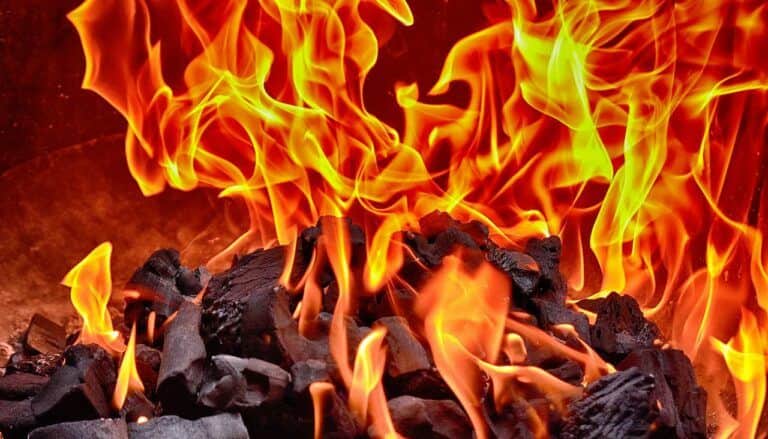 As the Shibarium Puppynet debate heats up, $SHIB Burn is skyrocketing in astounding numbers
