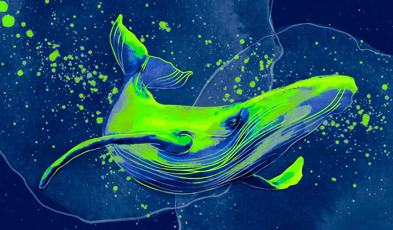 Bitcoin Whales Quietly Collect $one,875,819,869 in Crypto in Just 18 Days: Santiment