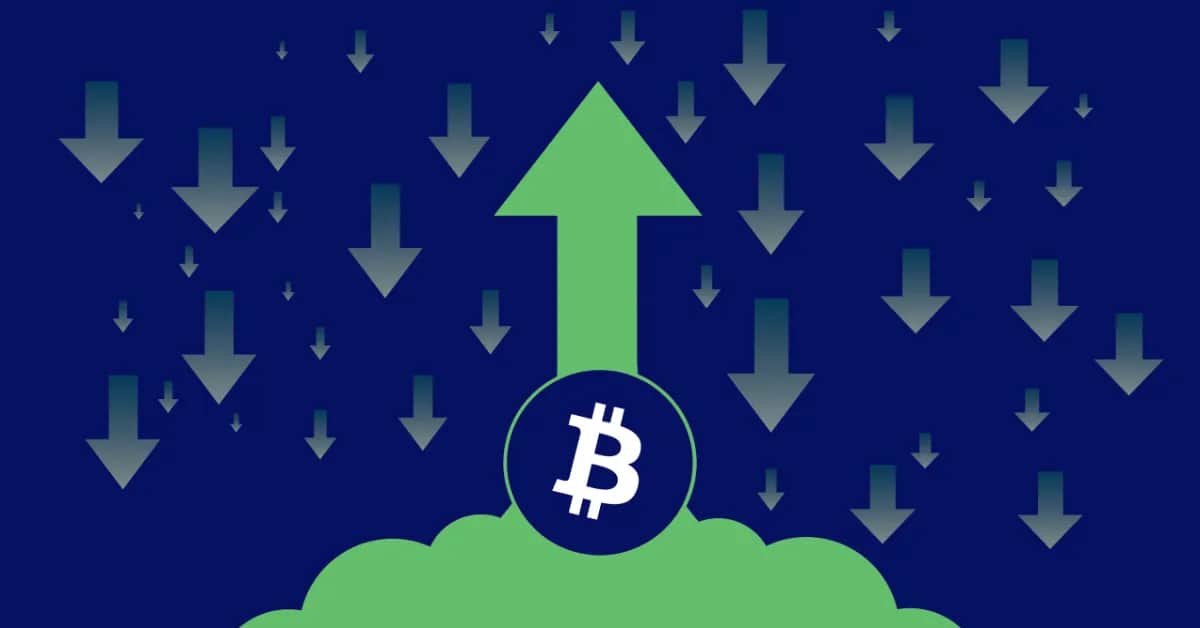 BTC Price Reaching $forty,000 Altcoin Value Will Grow With Bitcoin In The Second Half Of 2023!