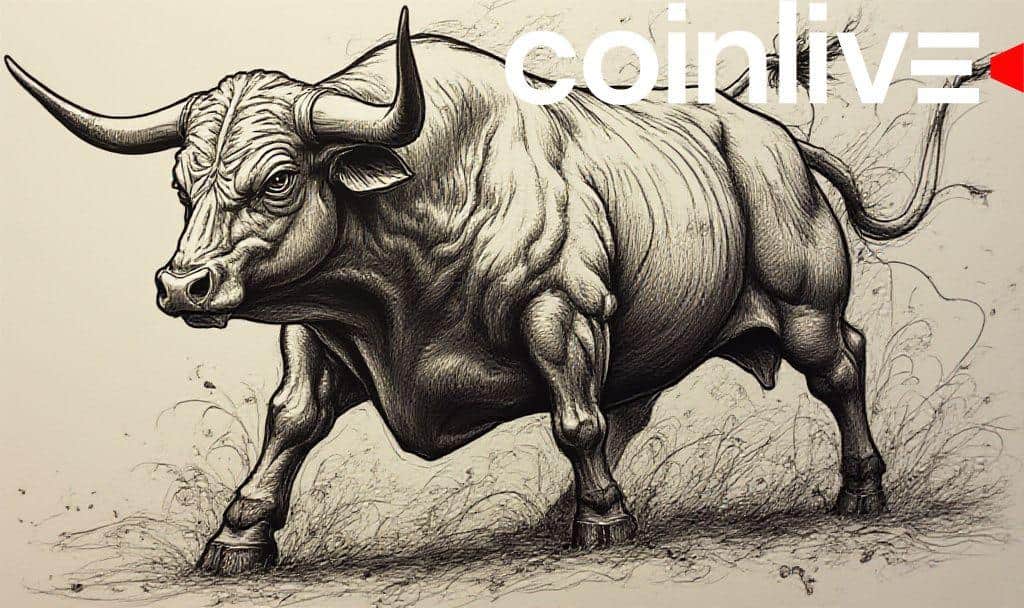 Bitcoin Accumulation Phase Signals Potential Rally