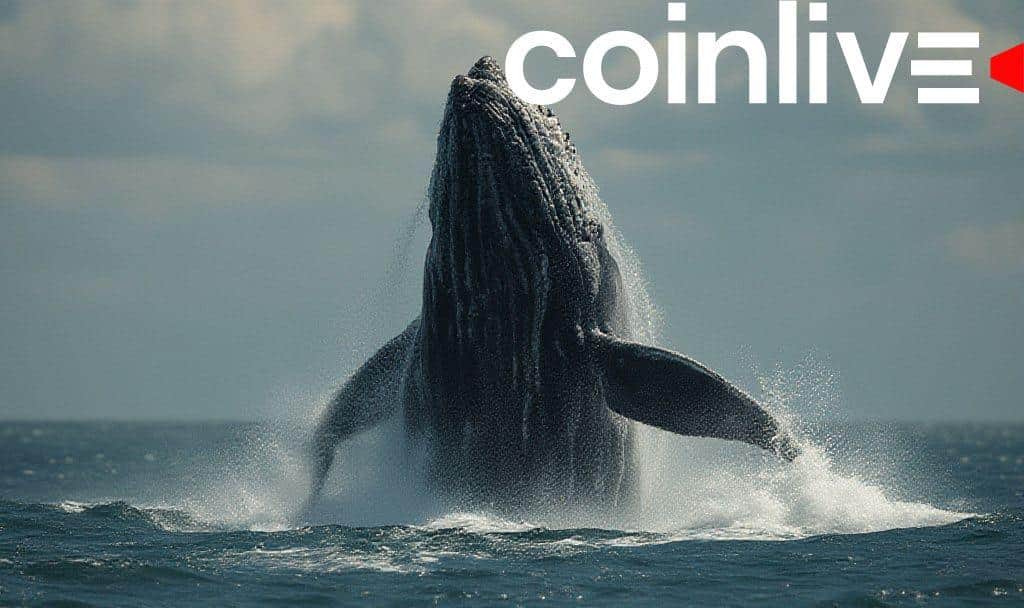 Whale Deposits 12M USDC in HyperLiquid, Influences Crypto Markets