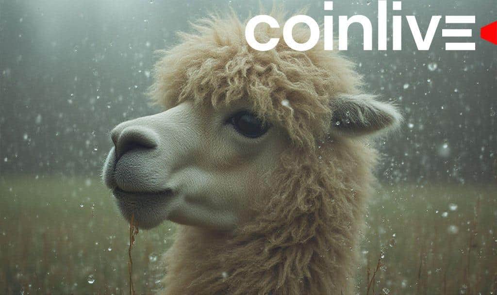 Alpaca Finance to Wind Down Operations Amidst Market Pressures