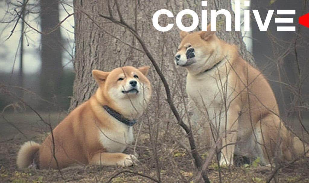 Shiba Inu Price Drops Amid Key Indicator Low