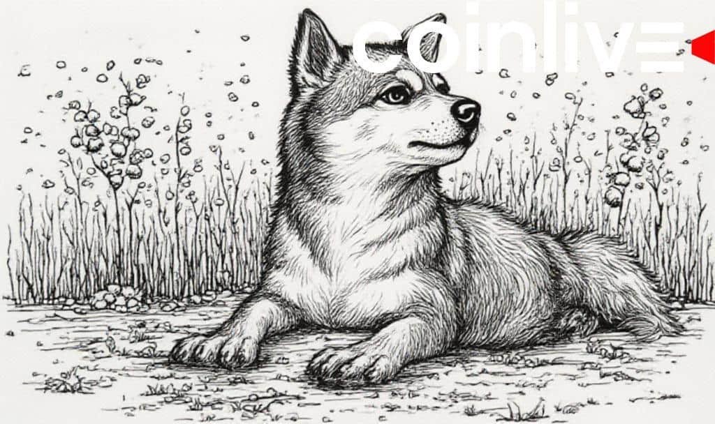 Shiba Inu and Coinbase Users Warned of Phishing Scam