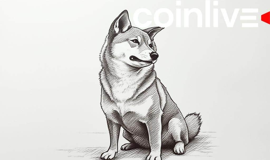 Shiba Inu Users Alerted to Potential Phishing Scam