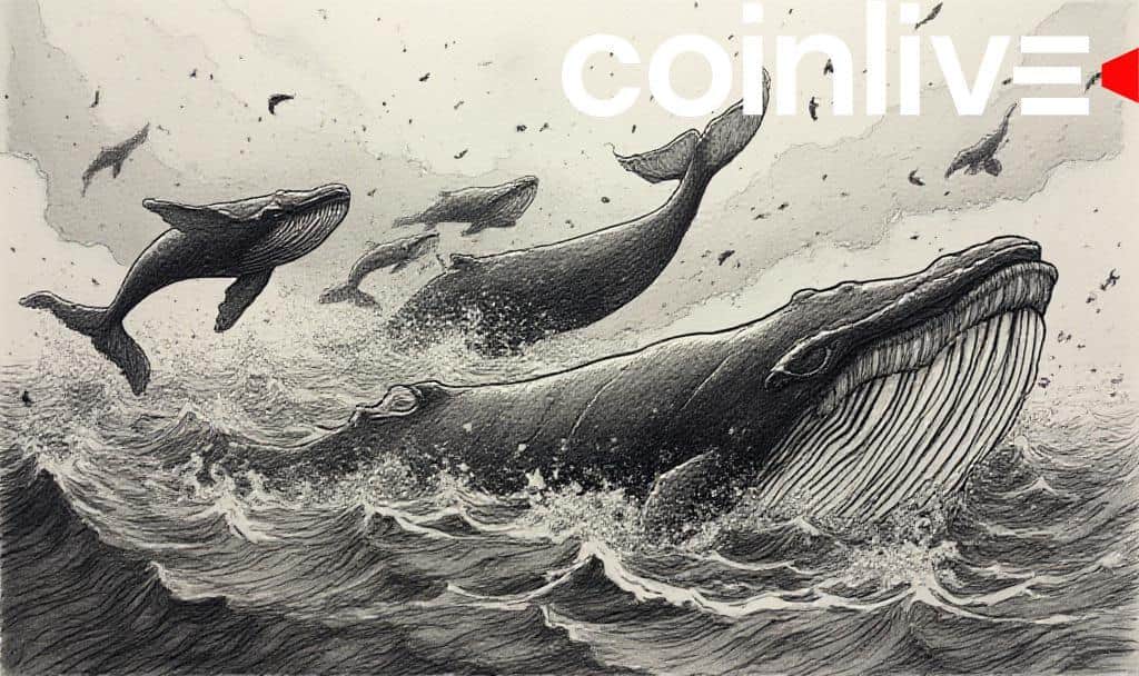 Ripple’s XRP Sees Price Decline Amid Whale Activity