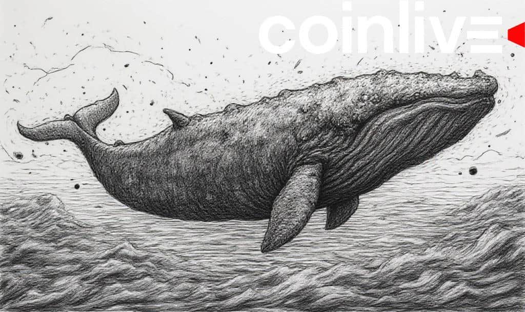 Ethereum Whales Control 23% of Circulating Supply