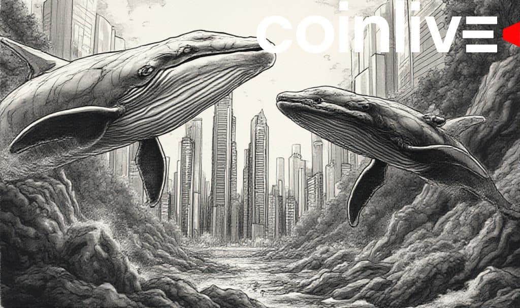 XRP and DOGE Whale Actions, BNB Hits Milestone