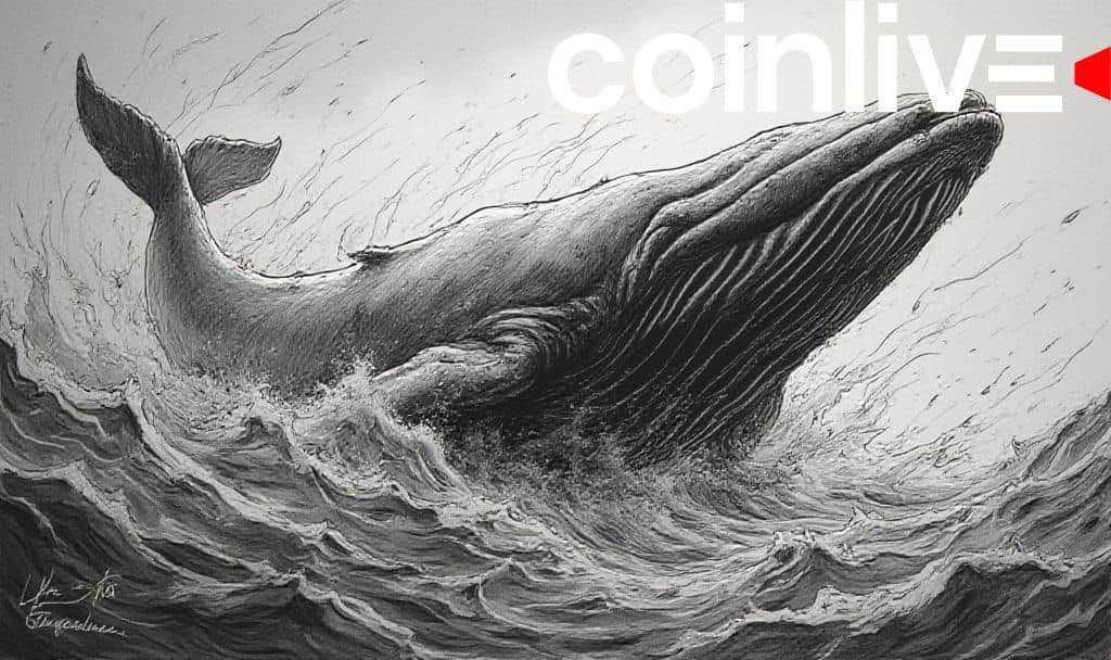 Ripple Faces XRP Price Volatility Amid Whale Sell-offs