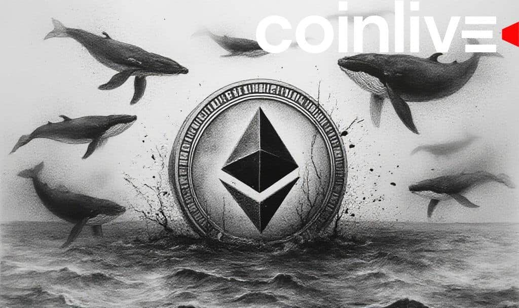 Ethereum Whales Boost Accumulation, Signaling Market Shift
